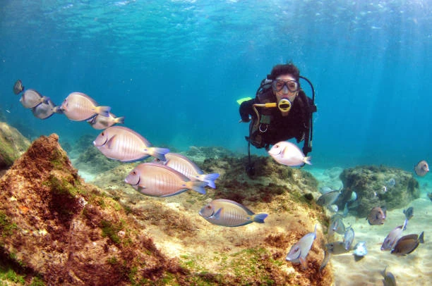 Batismo de mergulho nos corais de santa maria