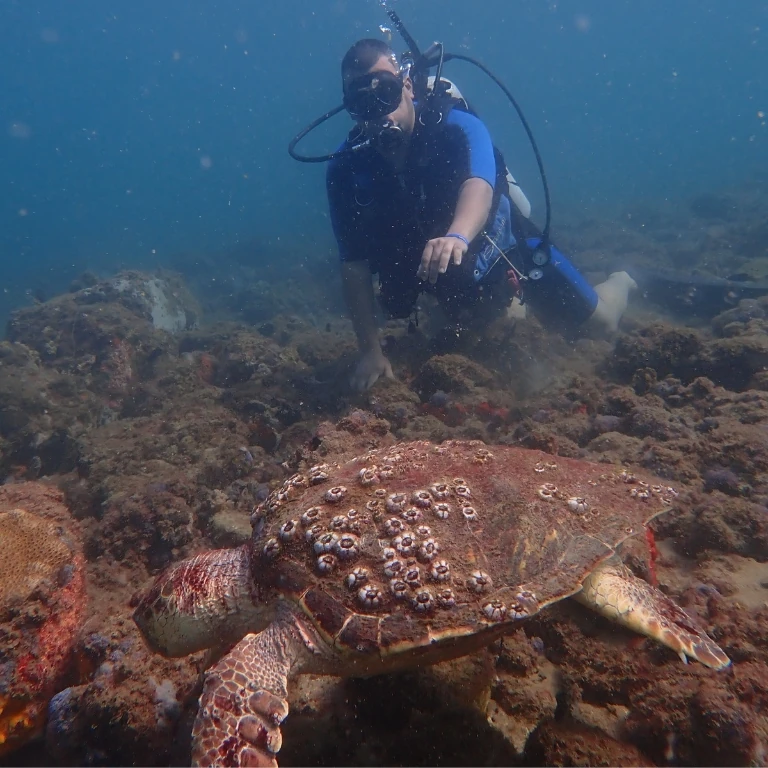 Experiência de mergulho para iniciante