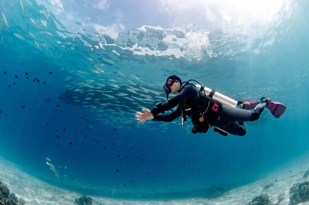 Mergulho discovery na Praia do Porto da Barra