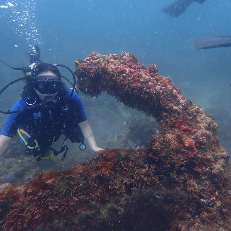Mergulho em naufrágio em salvador