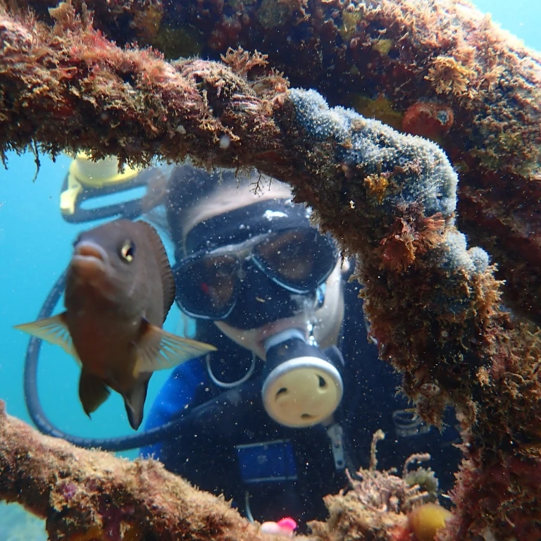Mergulho recreacional na Praia do Porto da Barra